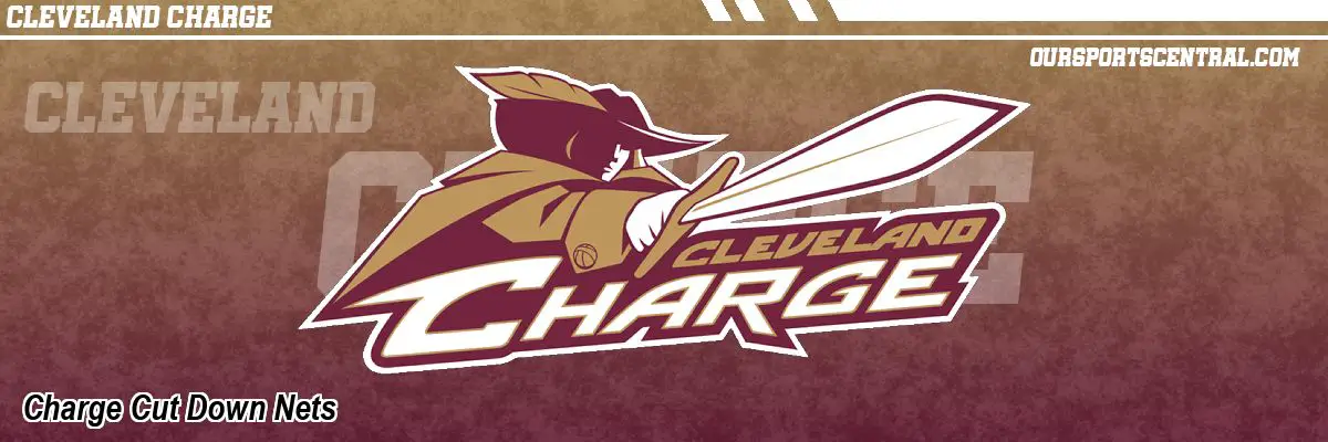 Charge Cut Down Nets