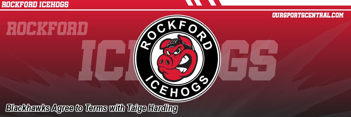 Blackhawks Agree to Terms with Taige Harding