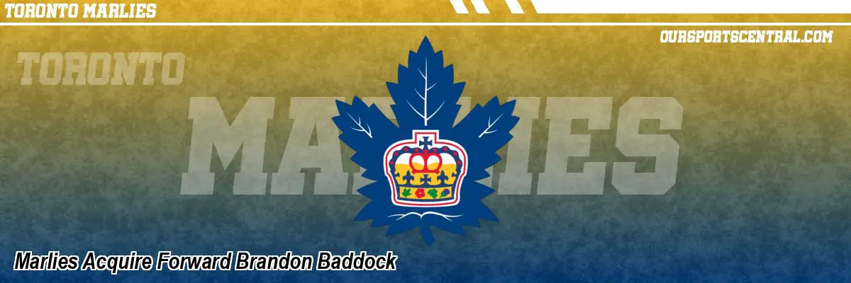 Marlies Acquire Forward Brandon Baddock