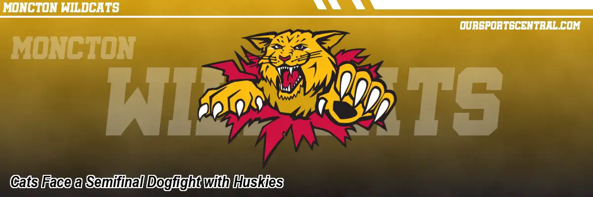 Cats Face a Semifinal Dogfight with Huskies