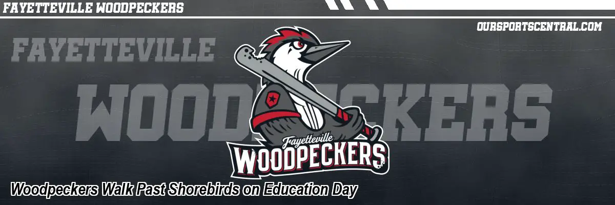 Woodpeckers Walk Past Shorebirds on Education Day