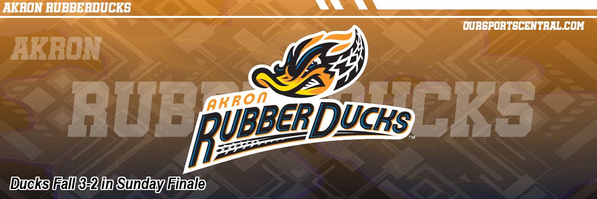 Ducks Fall 3-2 in Sunday Finale