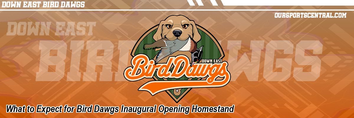 What to Expect for Bird Dawgs Inaugural Opening Homestand