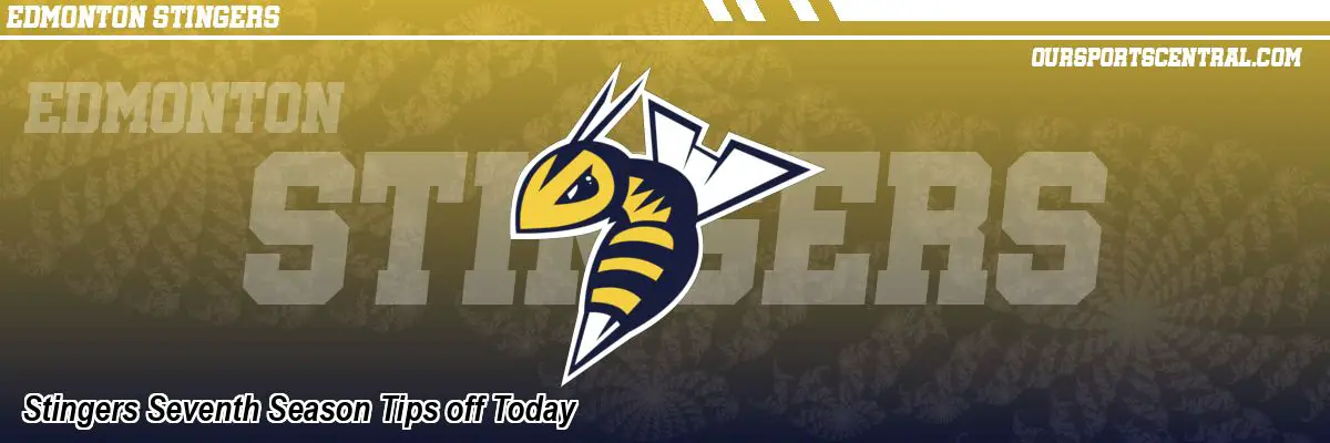 Stingers Seventh Season Tips off Today
