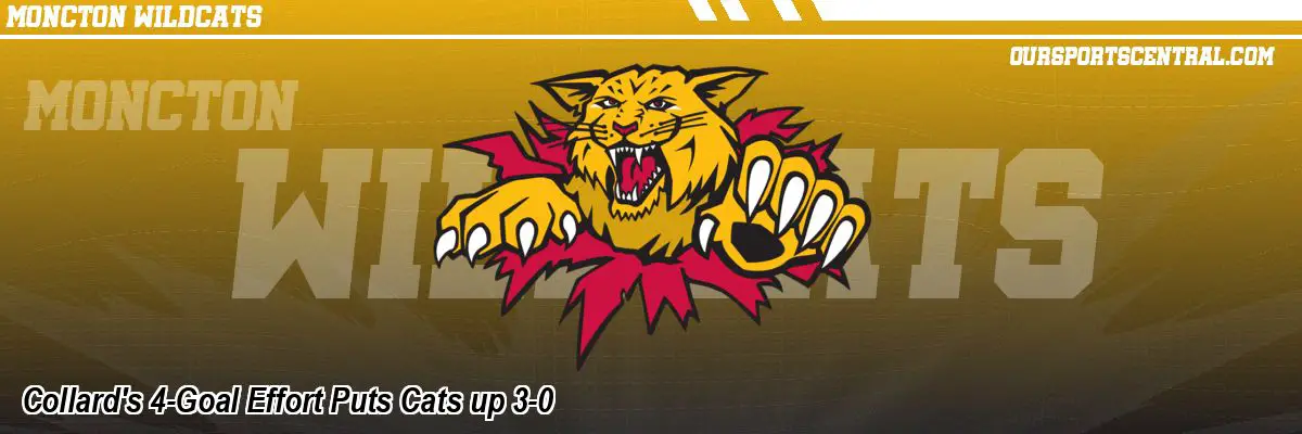 Collard's 4-Goal Effort Puts Cats up 3-0