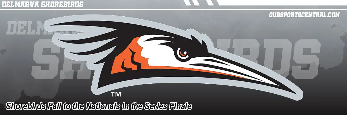 Shorebirds Fall to the Nationals in the Series Finale