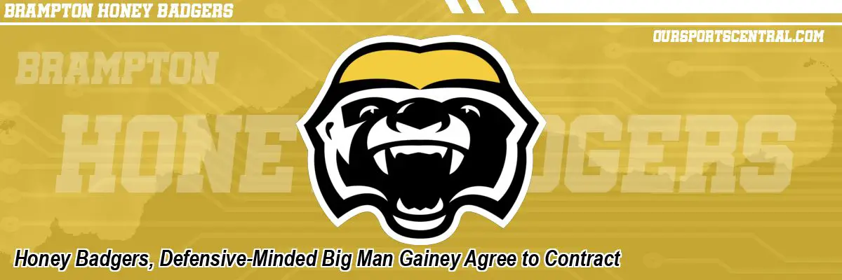 Honey Badgers, Defensive-Minded Big Man Gainey Agree to Contract