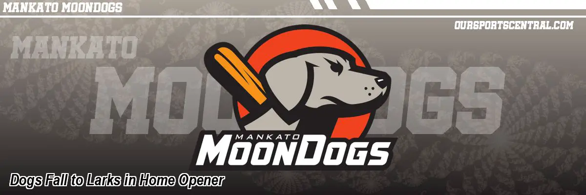 Dogs Fall to Larks in Home Opener