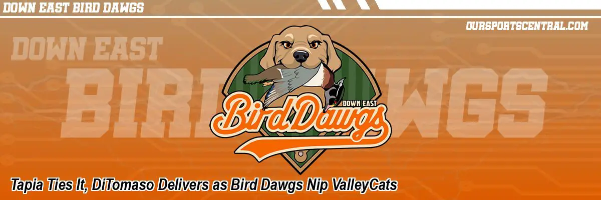 Tapia Ties It, DiTomaso Delivers as Bird Dawgs Nip ValleyCats