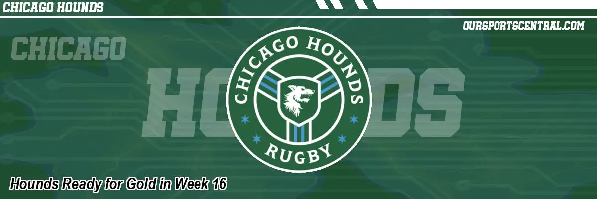 Hounds Ready for Gold in Week 16