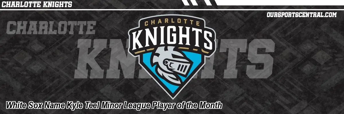White Sox Name Kyle Teel Minor League Player of the Month