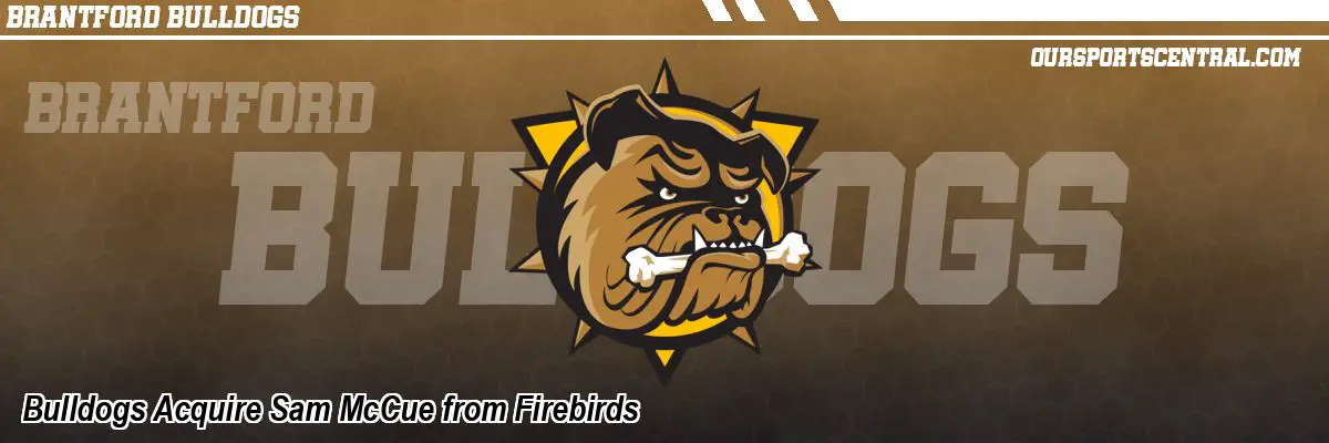 Bulldogs Acquire Sam McCue from Firebirds