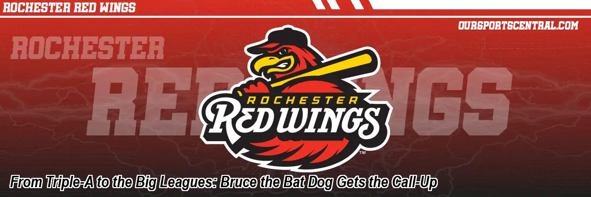 From Triple-A to the Big Leagues: Bruce the Bat Dog Gets the Call-Up