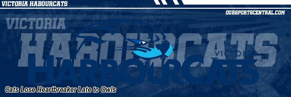 Cats Lose Heartbreaker Late to Owls