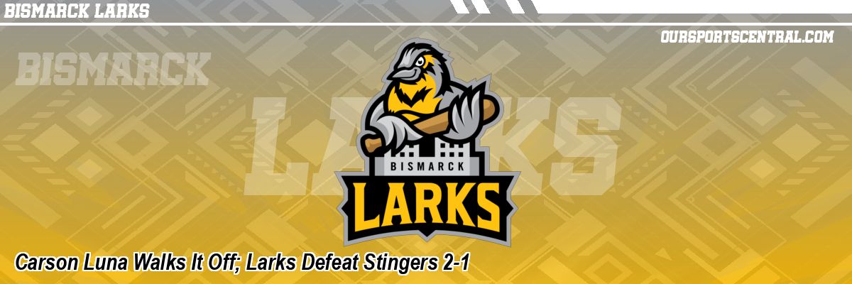 Carson Luna Walks It Off; Larks Defeat Stingers 2-1
