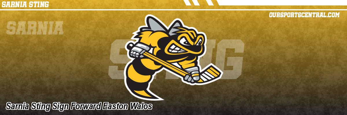 Sarnia Sting Sign Forward Easton Walos