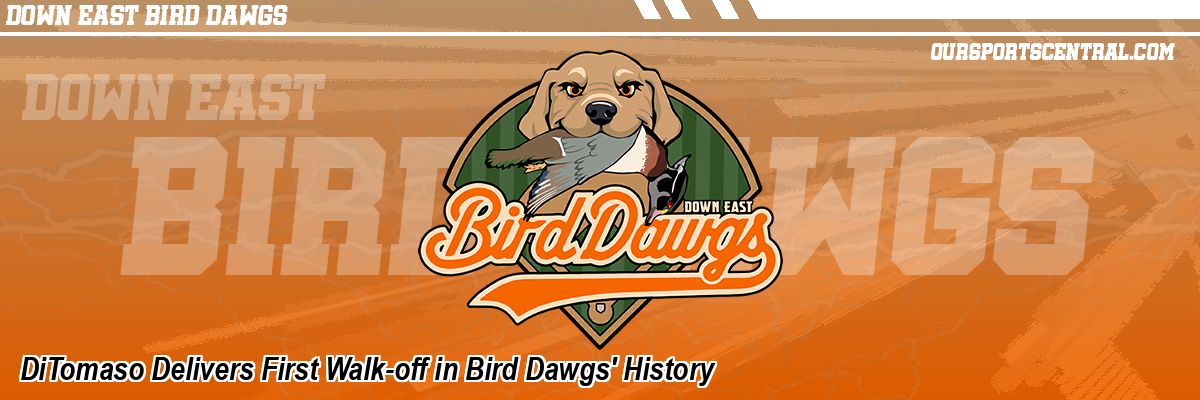 DiTomaso Delivers First Walk-off in Bird Dawgs' History