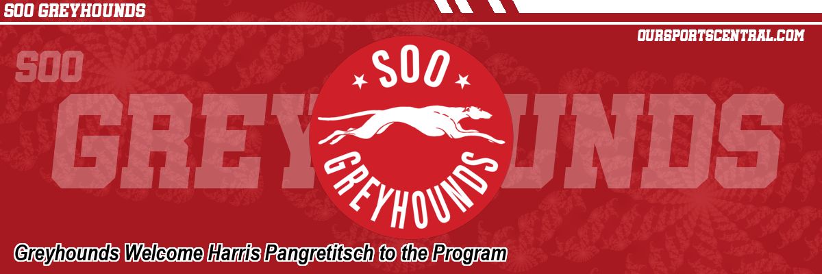 Greyhounds Welcome Harris Pangretitsch to the Program