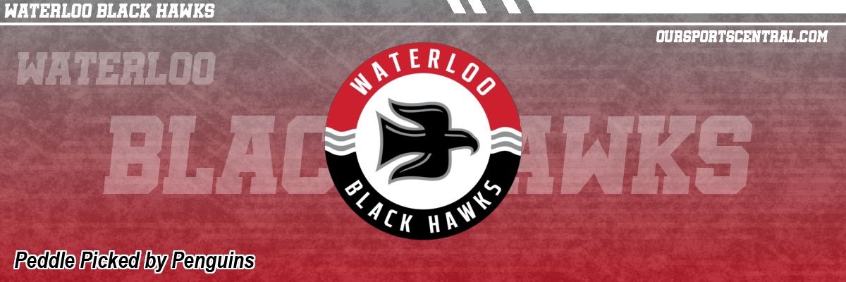 Peddle Picked by Penguins