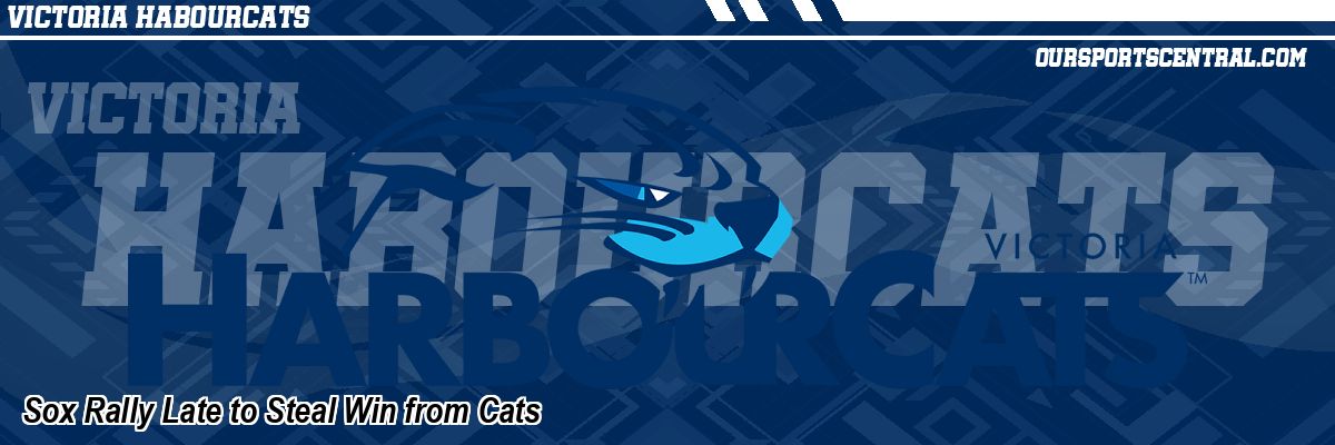 Sox Rally Late to Steal Win from Cats