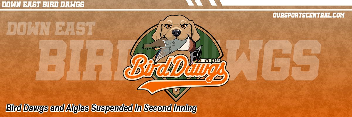 Bird Dawgs and Aigles Suspended in Second Inning