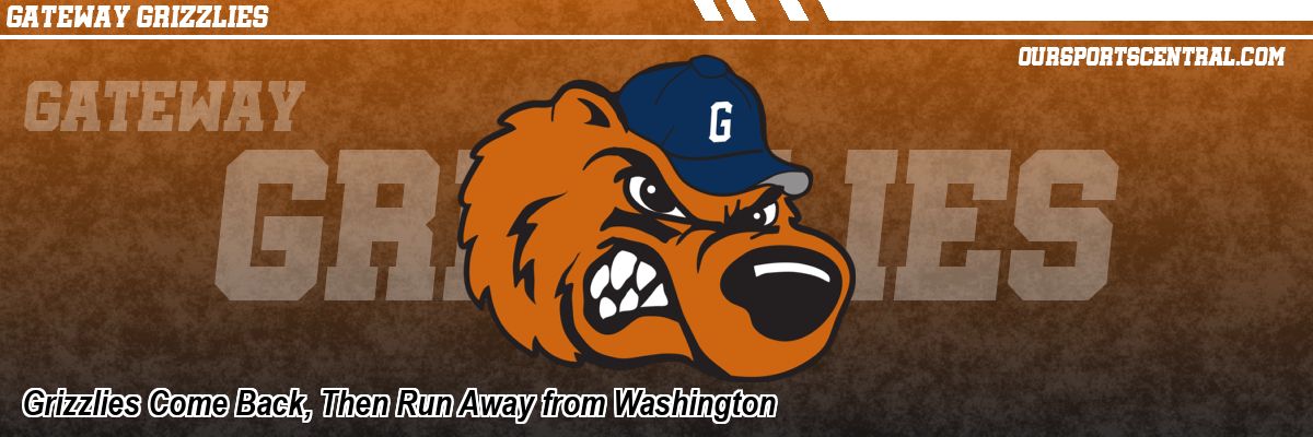 Grizzlies Come Back, Then Run Away from Washington