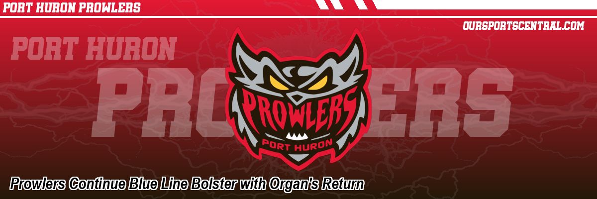 Prowlers Continue Blue Line Bolster with Organ's Return