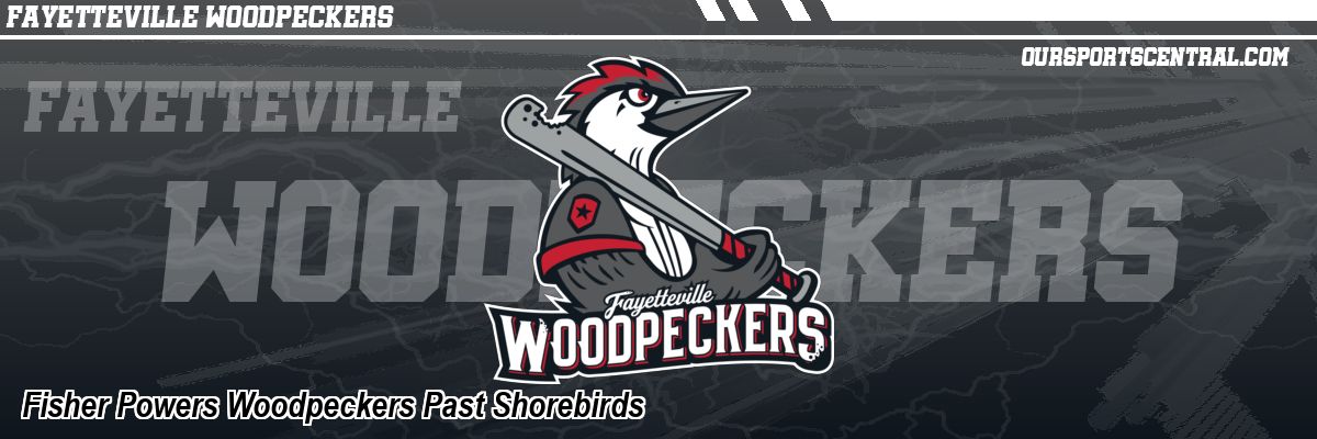 Fisher Powers Woodpeckers Past Shorebirds