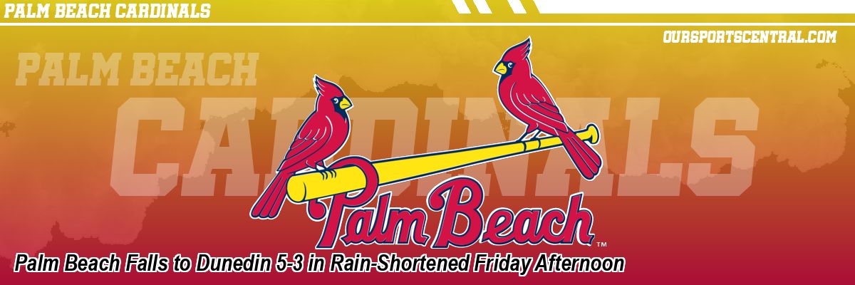 Palm Beach Falls to Dunedin 5-3 in Rain-Shortened Friday Afternoon