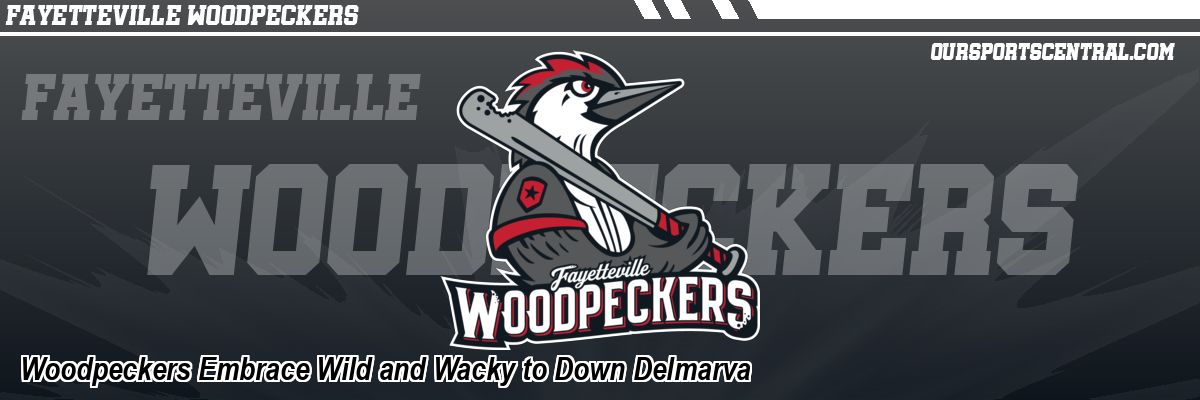Woodpeckers Embrace Wild and Wacky to Down Delmarva