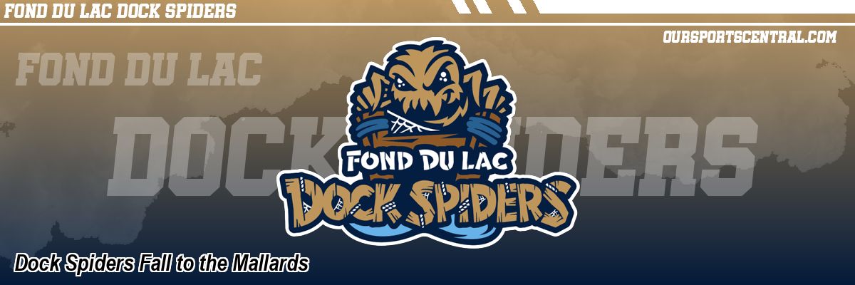 Dock Spiders Fall to the Mallards