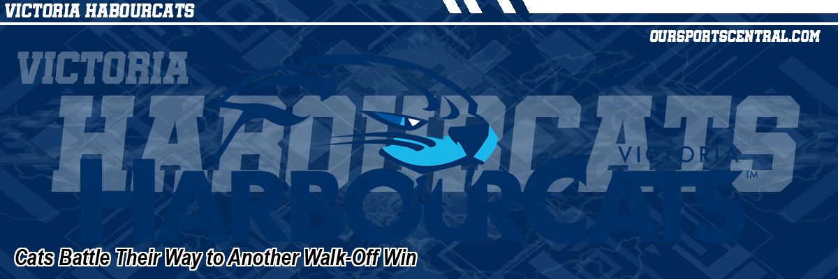 Cats Battle Their Way to Another Walk-Off Win