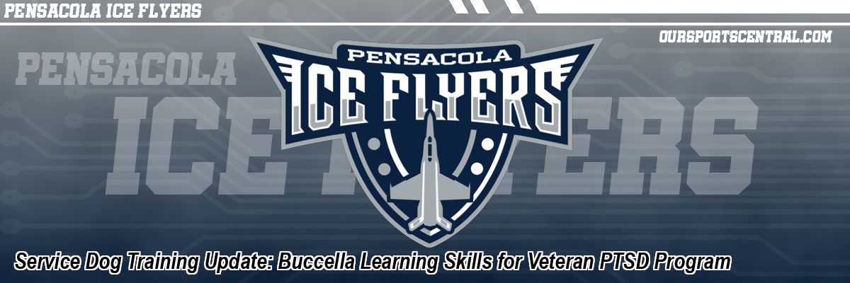 Service Dog Training Update: Buccella Learning Skills for Veteran PTSD Program