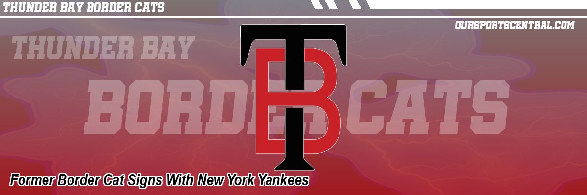 Former Border Cat Signs With New York Yankees