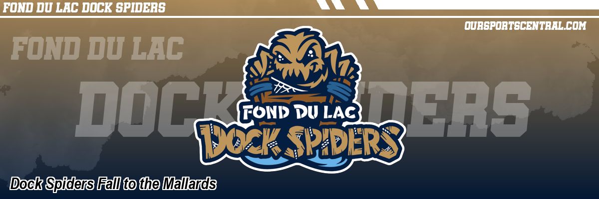 Dock Spiders Fall to the Mallards