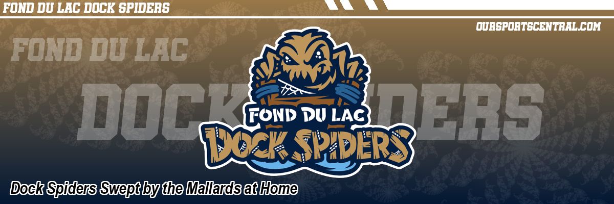 Dock Spiders Swept by the Mallards at Home