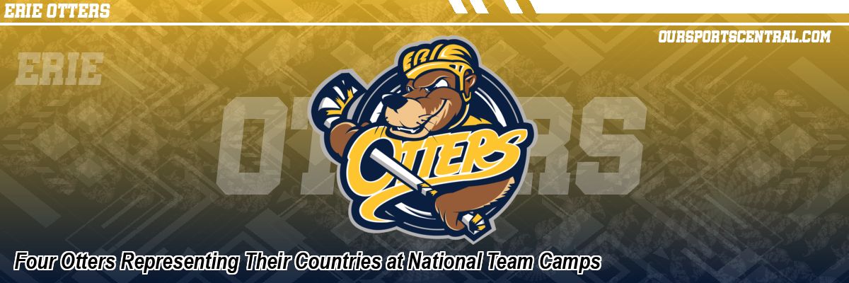 Four Otters Representing Their Countries at National Team Camps