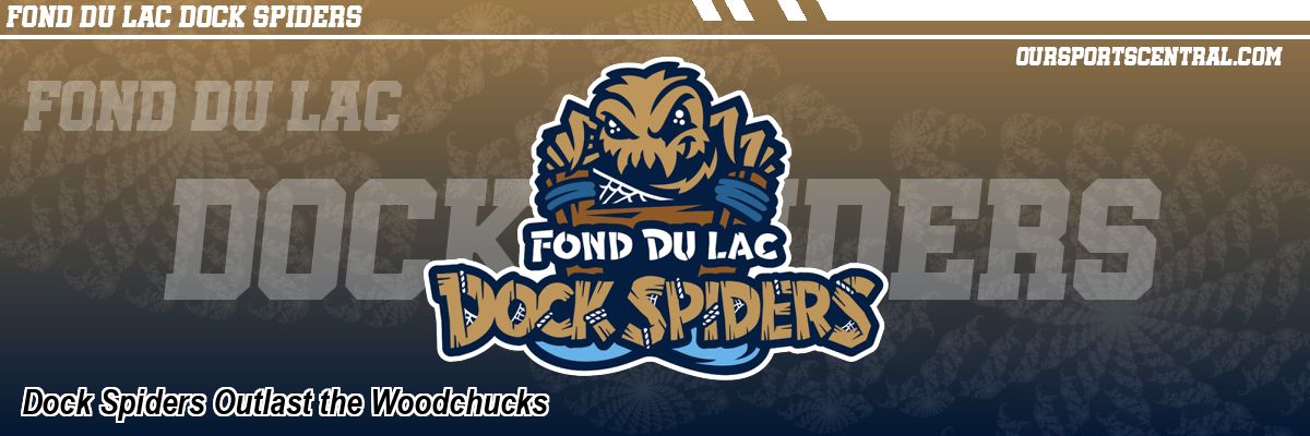 Dock Spiders Outlast the Woodchucks