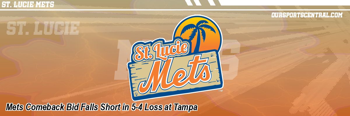 Mets Comeback Bid Falls Short in 5-4 Loss at Tampa