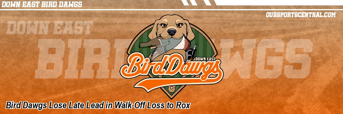 Bird Dawgs Lose Late Lead in Walk-Off Loss to Rox
