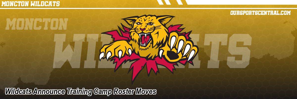 Wildcats Announce Training Camp Roster Moves