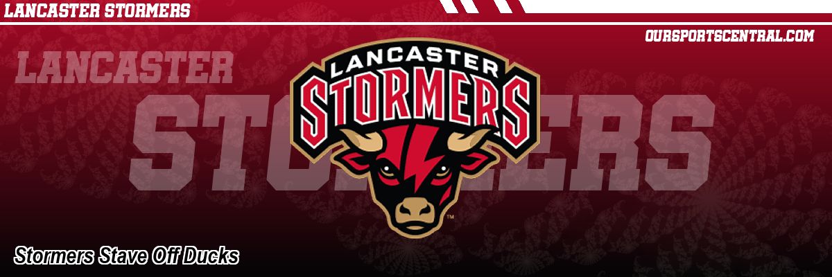 Stormers Stave Off Ducks