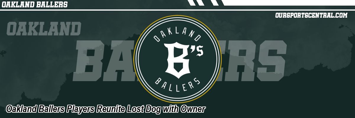 Oakland Ballers Players Reunite Lost Dog with Owner