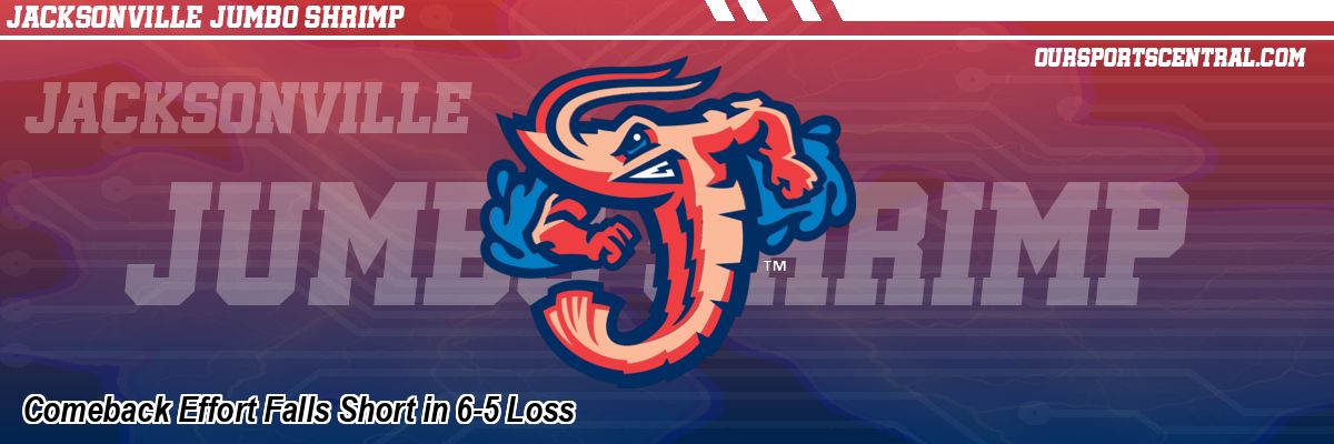 Comeback Effort Falls Short in 6-5 Loss