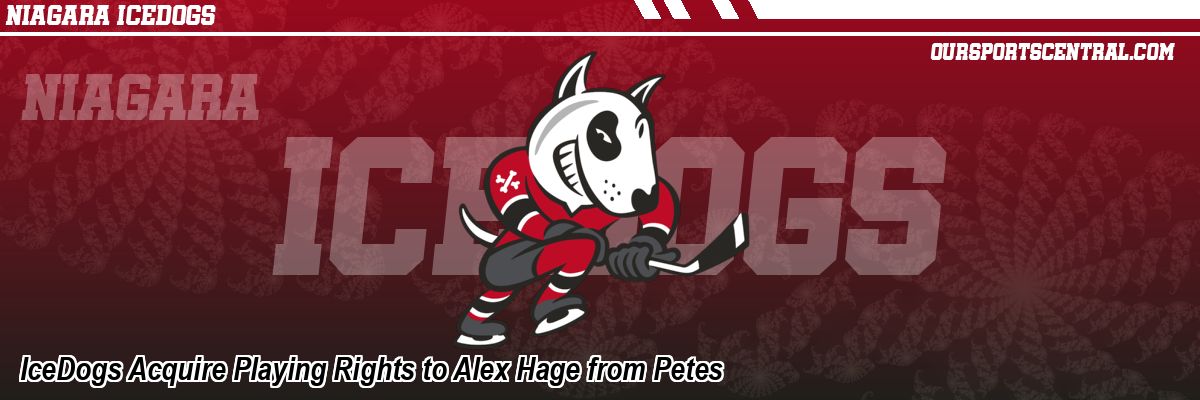 IceDogs Acquire Playing Rights to Alex Hage from Petes