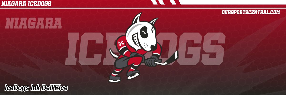 IceDogs Ink Dell'Elce