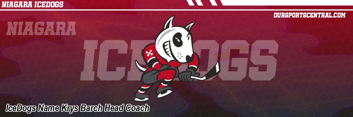IceDogs Name Krys Barch Head Coach