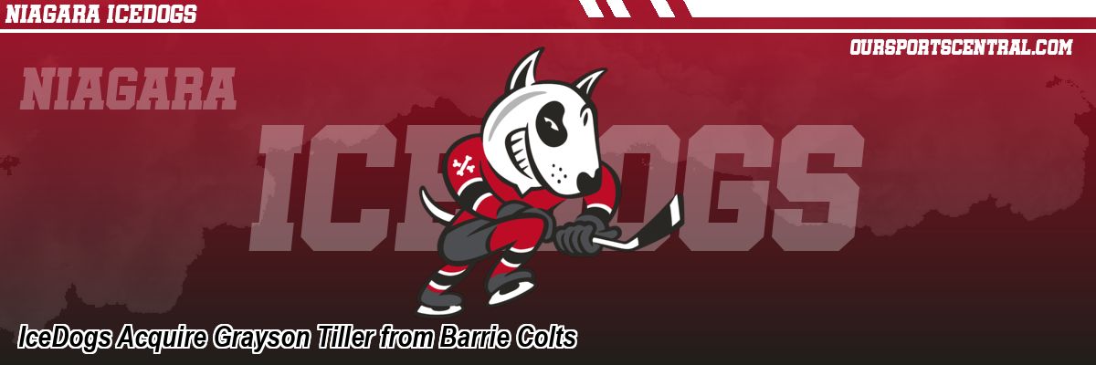 IceDogs Acquire Grayson Tiller from Barrie Colts