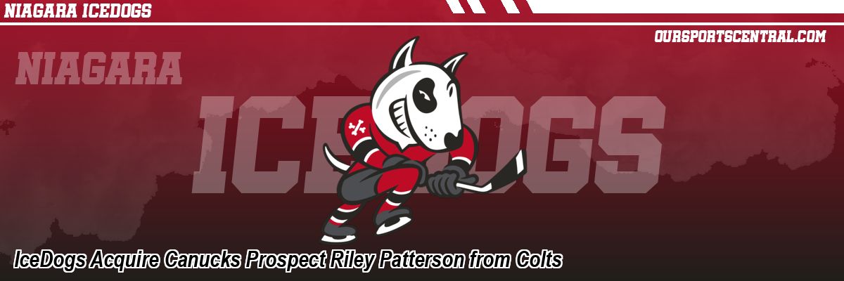 IceDogs Acquire Canucks Prospect Riley Patterson from Colts