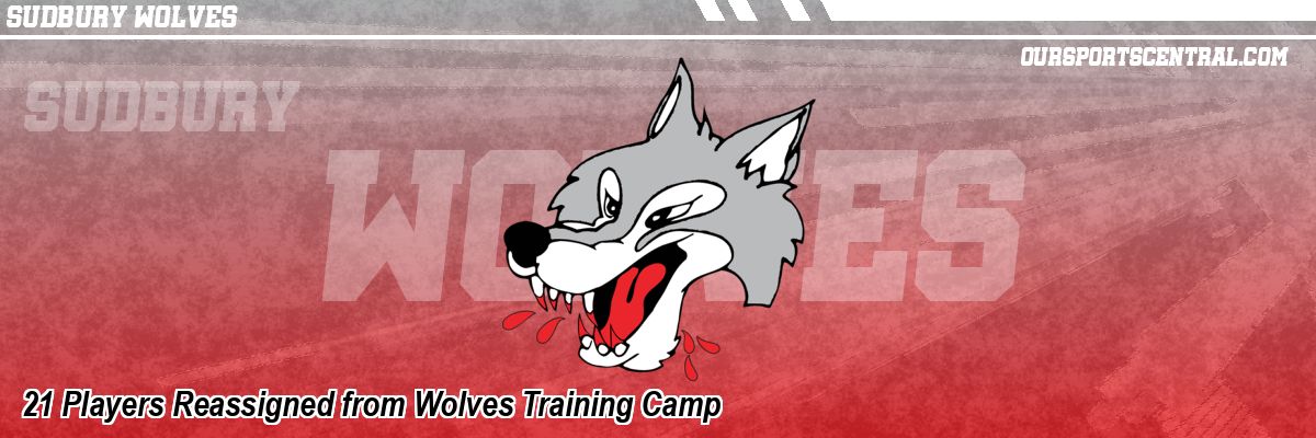 21 Players Reassigned from Wolves Training Camp